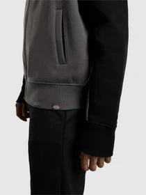 Худі та світшоти Dickies Bolivar модель DK0A87NTBLK1 Фото