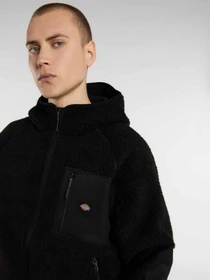 Худи и свитшоты Dickies CENTRAL HIGH PILE HOODED модель DK0A87NVBLK1 Фото