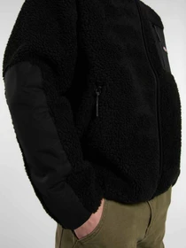 Худи и свитшоты Dickies CENTRAL HIGH PILE HOODED модель DK0A87NVBLK1 Фото
