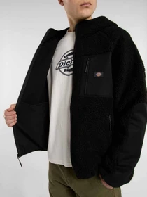 Худи и свитшоты Dickies CENTRAL HIGH PILE HOODED модель DK0A87NVBLK1 Фото