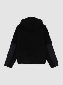 Худи и свитшоты Dickies CENTRAL HIGH PILE HOODED модель DK0A87NVBLK1 Фото