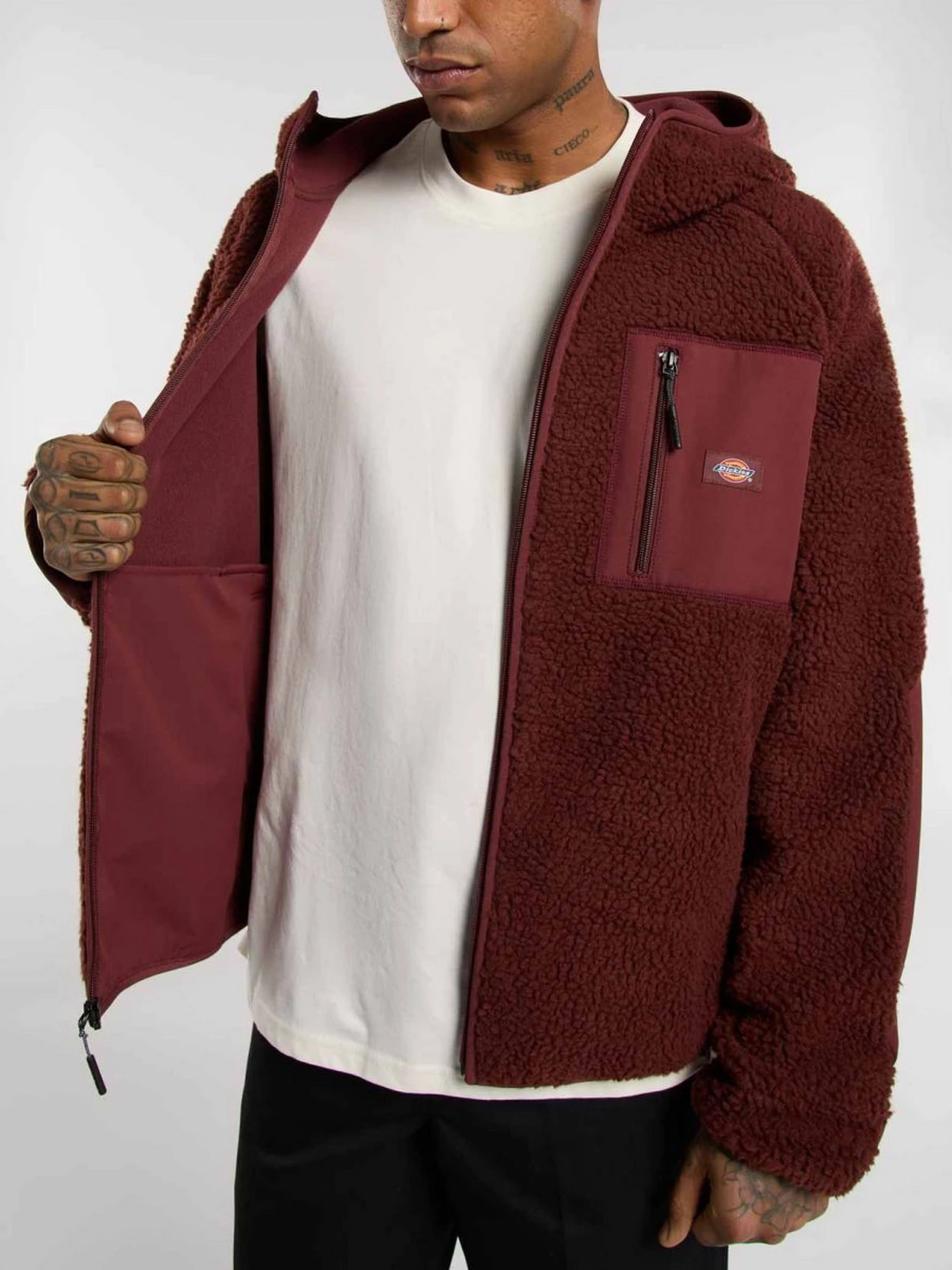 Худі та світшоти Dickies CENTRAL HIGH PILE HOODED модель DK0A87NVL161 Фото