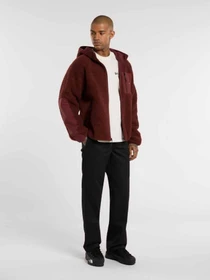 Худі та світшоти Dickies CENTRAL HIGH PILE HOODED модель DK0A87NVL161 Фото
