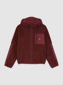 Худі та світшоти Dickies CENTRAL HIGH PILE HOODED модель DK0A87NVL161 Фото