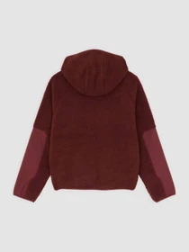 Худі та світшоти Dickies CENTRAL HIGH PILE HOODED модель DK0A87NVL161 Фото