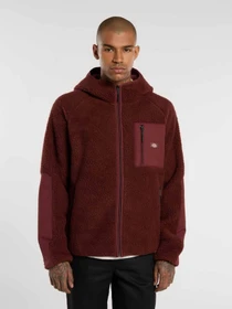 Худі та світшоти Dickies CENTRAL HIGH PILE HOODED модель DK0A87NVL161 Фото