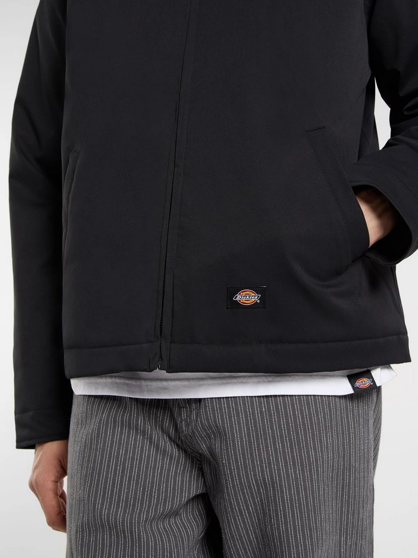 Куртки та дублянки Dickies EISENHOWER PUFFER модель DK0A87O6BLK1 Куртки та дублянки Dickies EISENHOWER PUFFER модель DK0A87O6BLK1 Фото