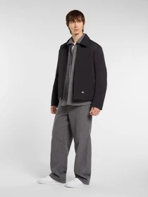 Куртки та дублянки Dickies EISENHOWER PUFFER модель DK0A87O6BLK1 Фото
