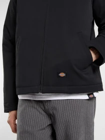 Куртки та дублянки Dickies EISENHOWER PUFFER модель DK0A87O6BLK1 Фото
