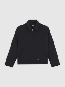 Куртки та дублянки Dickies EISENHOWER PUFFER модель DK0A87O6BLK1 Фото