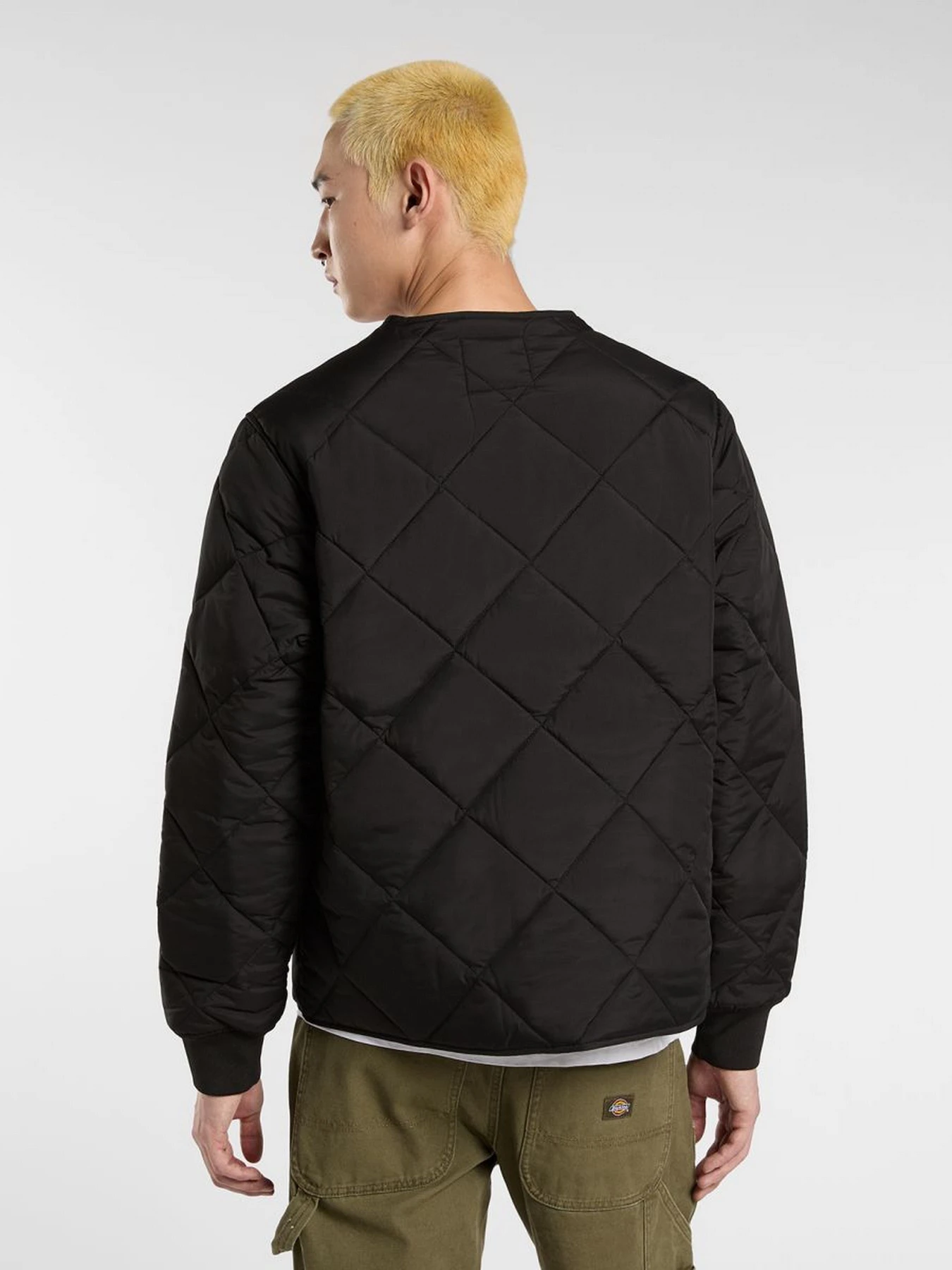 Куртки та дублянки Dickies SAMBURG LINER JACKET модель DK0A87O7BLK1 Куртки та дублянки Dickies SAMBURG LINER JACKET модель DK0A87O7BLK1 Фото