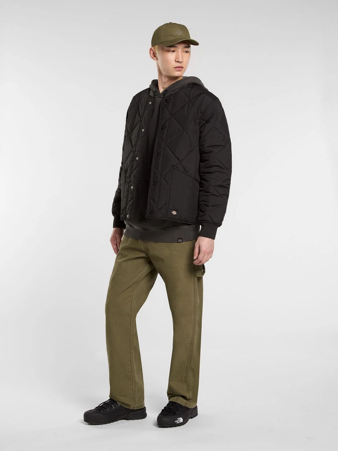 Куртки та дублянки Dickies SAMBURG LINER JACKET модель DK0A87O7BLK1 Куртки та дублянки Dickies SAMBURG LINER JACKET модель DK0A87O7BLK1 Фото
