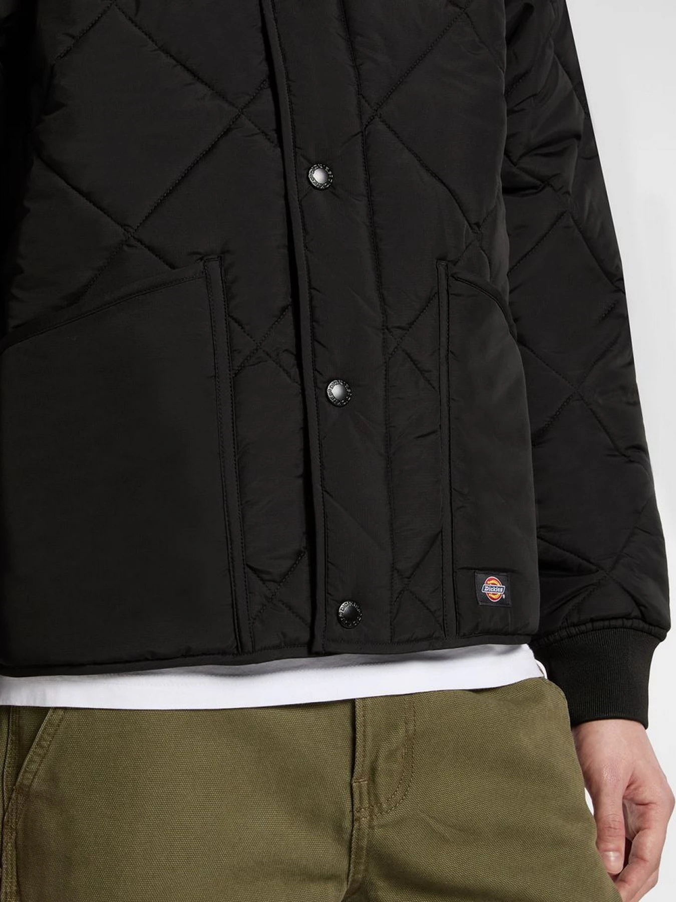 Куртки та дублянки Dickies SAMBURG LINER JACKET модель DK0A87O7BLK1 Куртки та дублянки Dickies SAMBURG LINER JACKET модель DK0A87O7BLK1 Фото