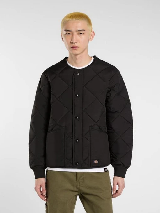 Куртки и дубленки Dickies SAMBURG LINER JACKET модель DK0A87O7BLK1 Фото