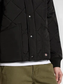 Куртки та дублянки Dickies SAMBURG LINER JACKET модель DK0A87O7BLK1 Фото
