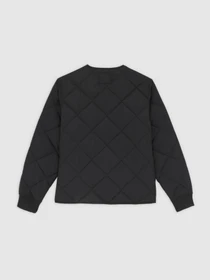 Куртки та дублянки Dickies SAMBURG LINER JACKET модель DK0A87O7BLK1 Фото