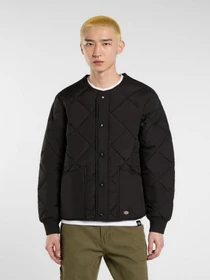 Куртки и дубленки Dickies SAMBURG LINER JACKET модель DK0A87O7BLK1 Фото