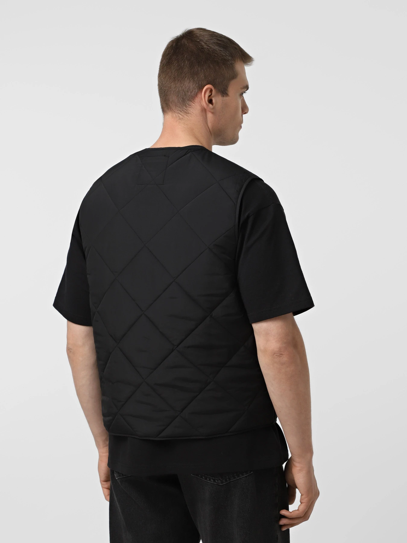 Куртки та дублянки Dickies SAMBURG LINER VEST модель DK0A87O8BLK1 Куртки та дублянки Dickies SAMBURG LINER VEST модель DK0A87O8BLK1 Фото
