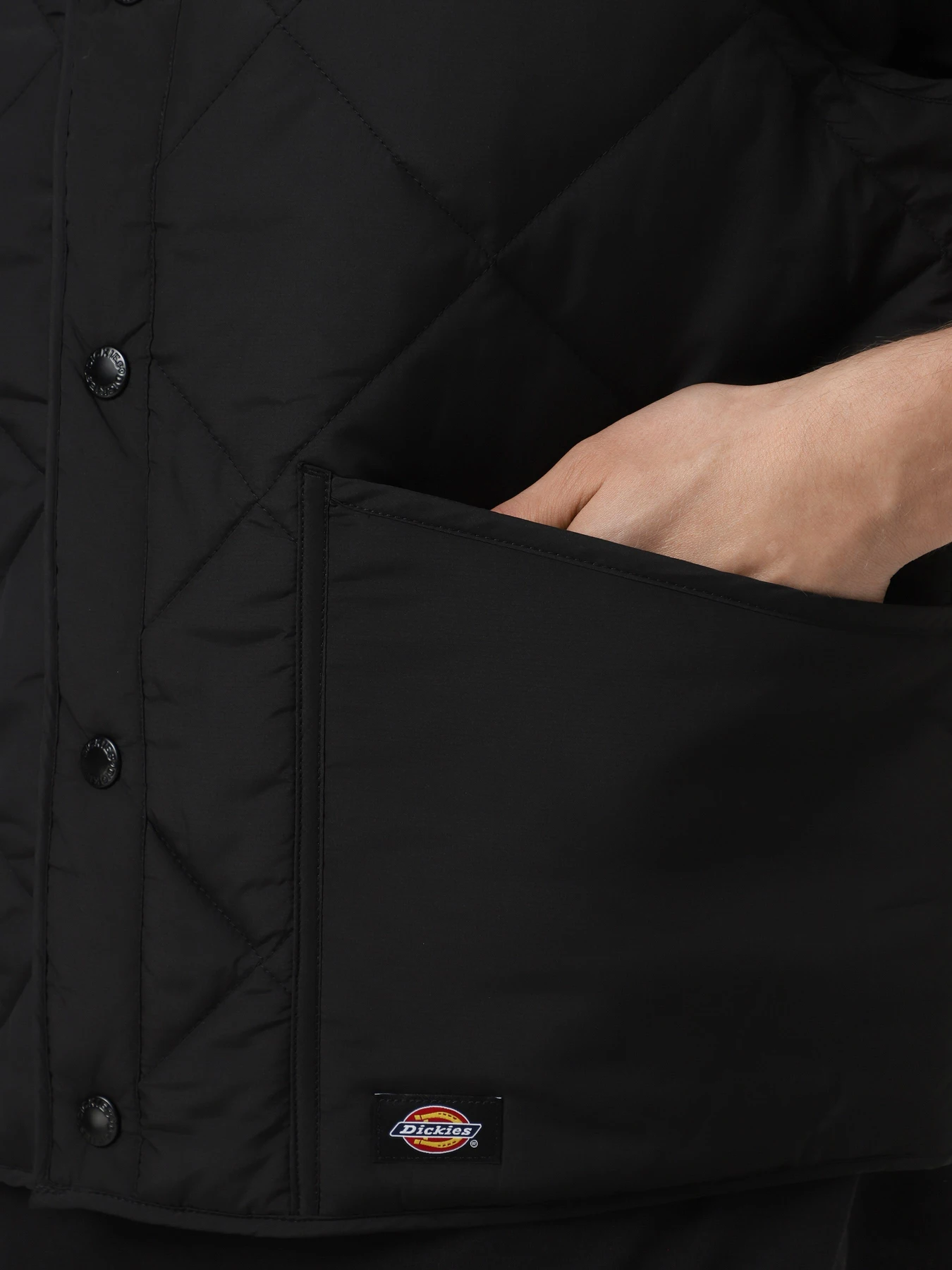 Куртки та дублянки Dickies SAMBURG LINER VEST модель DK0A87O8BLK1 Куртки та дублянки Dickies SAMBURG LINER VEST модель DK0A87O8BLK1 Фото