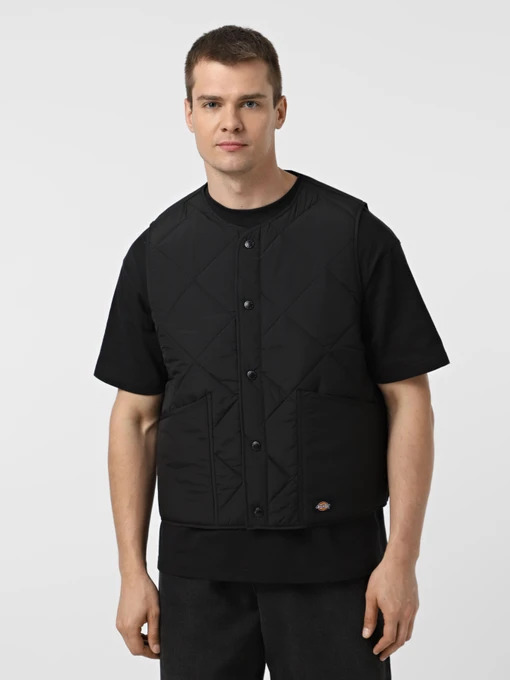 Куртки та дублянки Dickies SAMBURG LINER VEST модель DK0A87O8BLK1 Фото