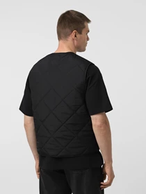 Куртки та дублянки Dickies SAMBURG LINER VEST модель DK0A87O8BLK1 Фото