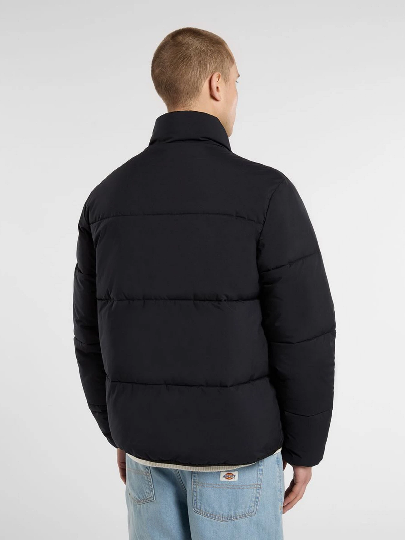 Куртки и дубленки Dickies SUMMERDALE PUFFER модель DK0A87OGBLK1 Куртки и дубленки Dickies SUMMERDALE PUFFER модель DK0A87OGBLK1 Фото