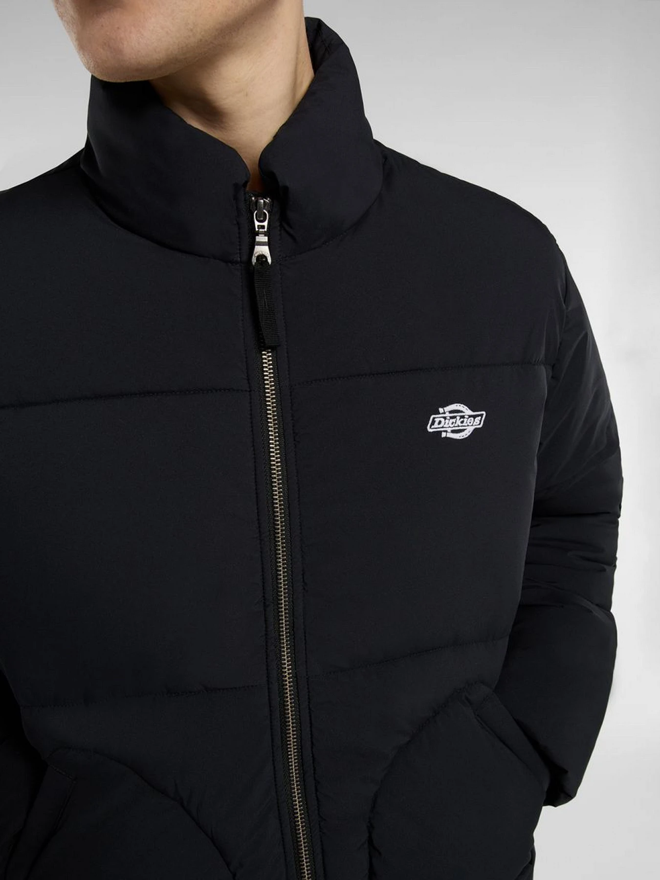 Куртки и дубленки Dickies SUMMERDALE PUFFER модель DK0A87OGBLK1 Куртки и дубленки Dickies SUMMERDALE PUFFER модель DK0A87OGBLK1 Фото