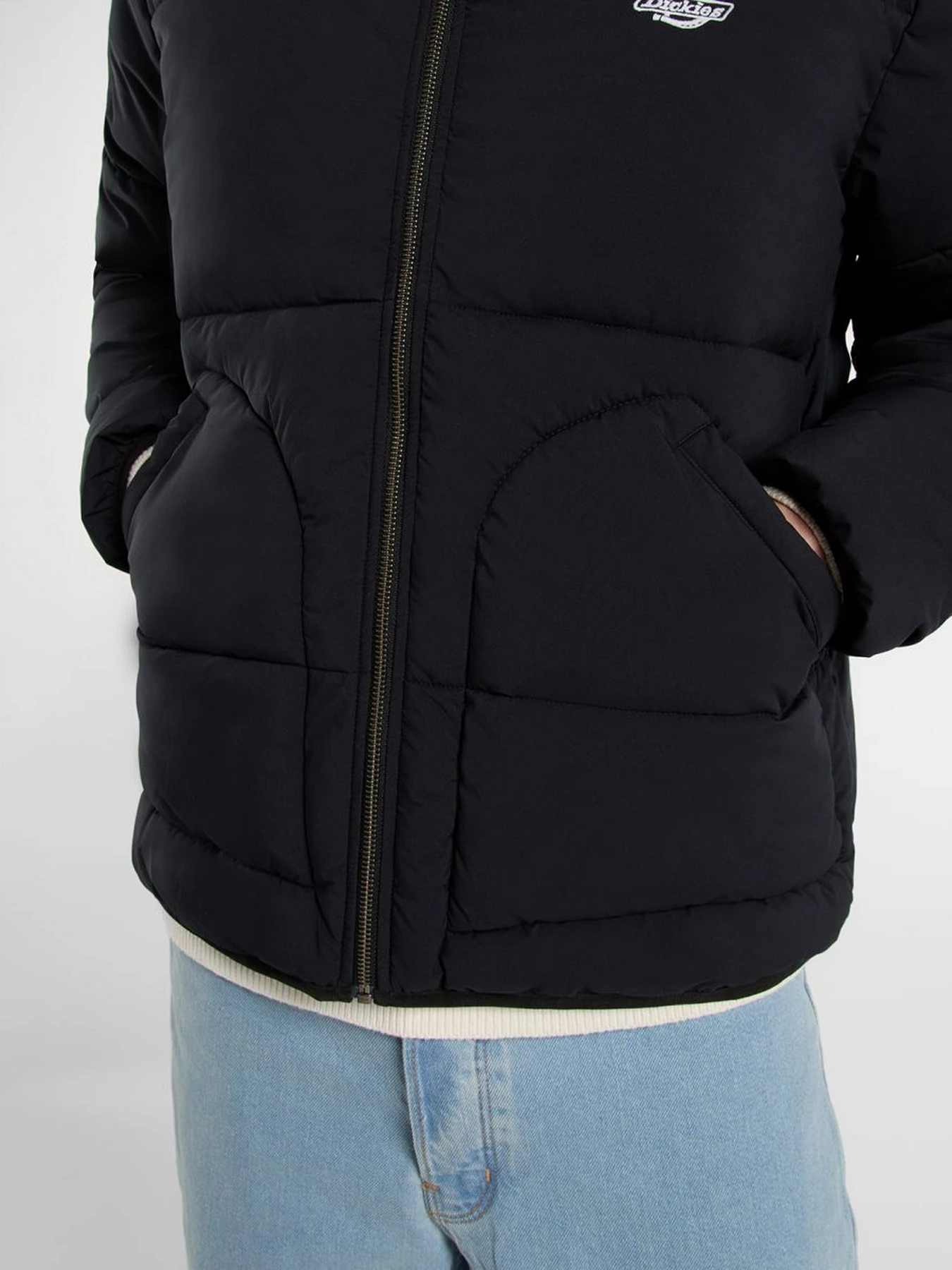 Куртки и дубленки Dickies SUMMERDALE PUFFER модель DK0A87OGBLK1 Куртки и дубленки Dickies SUMMERDALE PUFFER модель DK0A87OGBLK1 Фото
