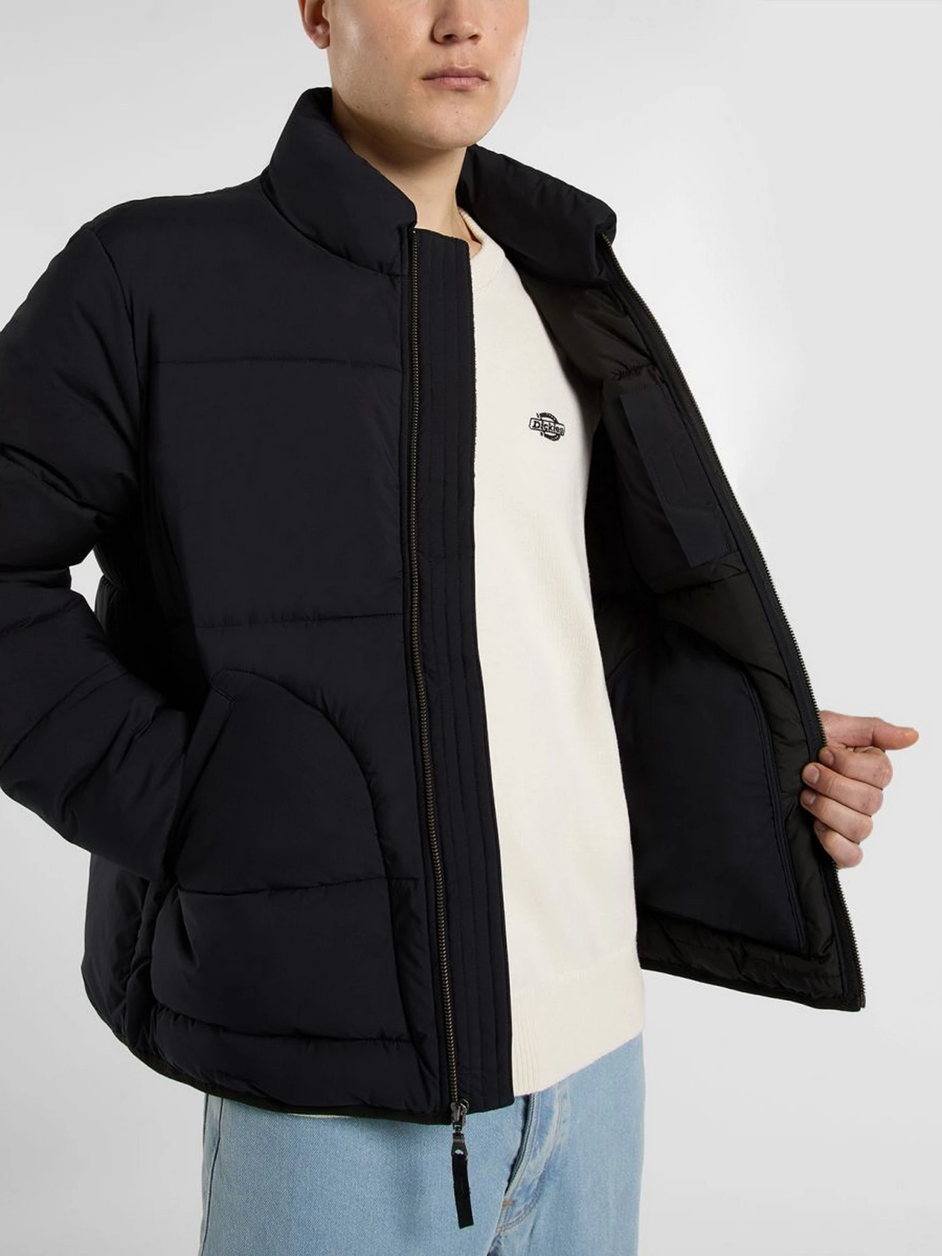 Куртки и дубленки Dickies SUMMERDALE PUFFER модель DK0A87OGBLK1 Куртки и дубленки Dickies SUMMERDALE PUFFER модель DK0A87OGBLK1 Фото