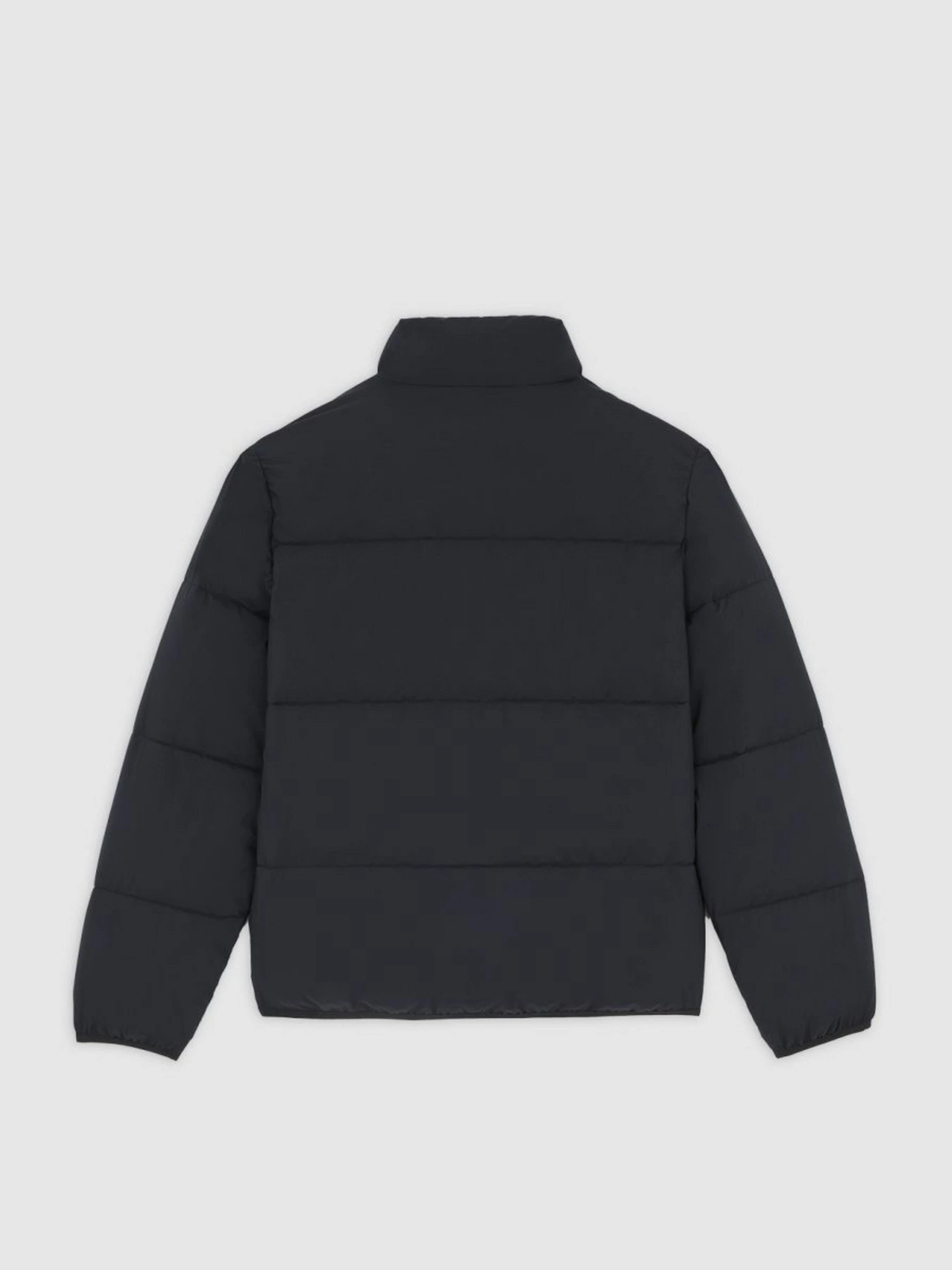 Куртки и дубленки Dickies SUMMERDALE PUFFER модель DK0A87OGBLK1 Куртки и дубленки Dickies SUMMERDALE PUFFER модель DK0A87OGBLK1 Фото