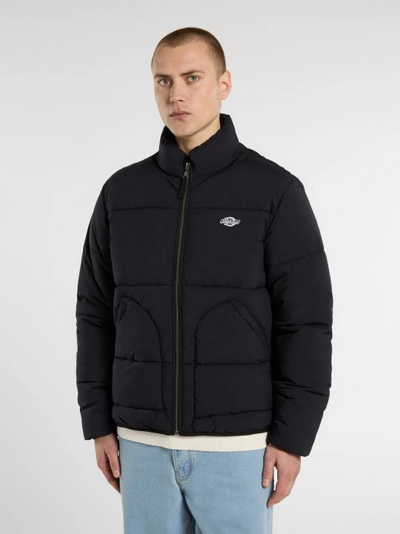 Куртки и дубленки Dickies SUMMERDALE PUFFER модель DK0A87OGBLK1 Куртки и дубленки Dickies SUMMERDALE PUFFER модель DK0A87OGBLK1 Фото