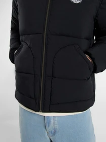 Куртки и дубленки Dickies SUMMERDALE PUFFER модель DK0A87OGBLK1 Фото