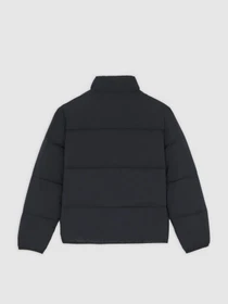 Куртки и дубленки Dickies SUMMERDALE PUFFER модель DK0A87OGBLK1 Фото