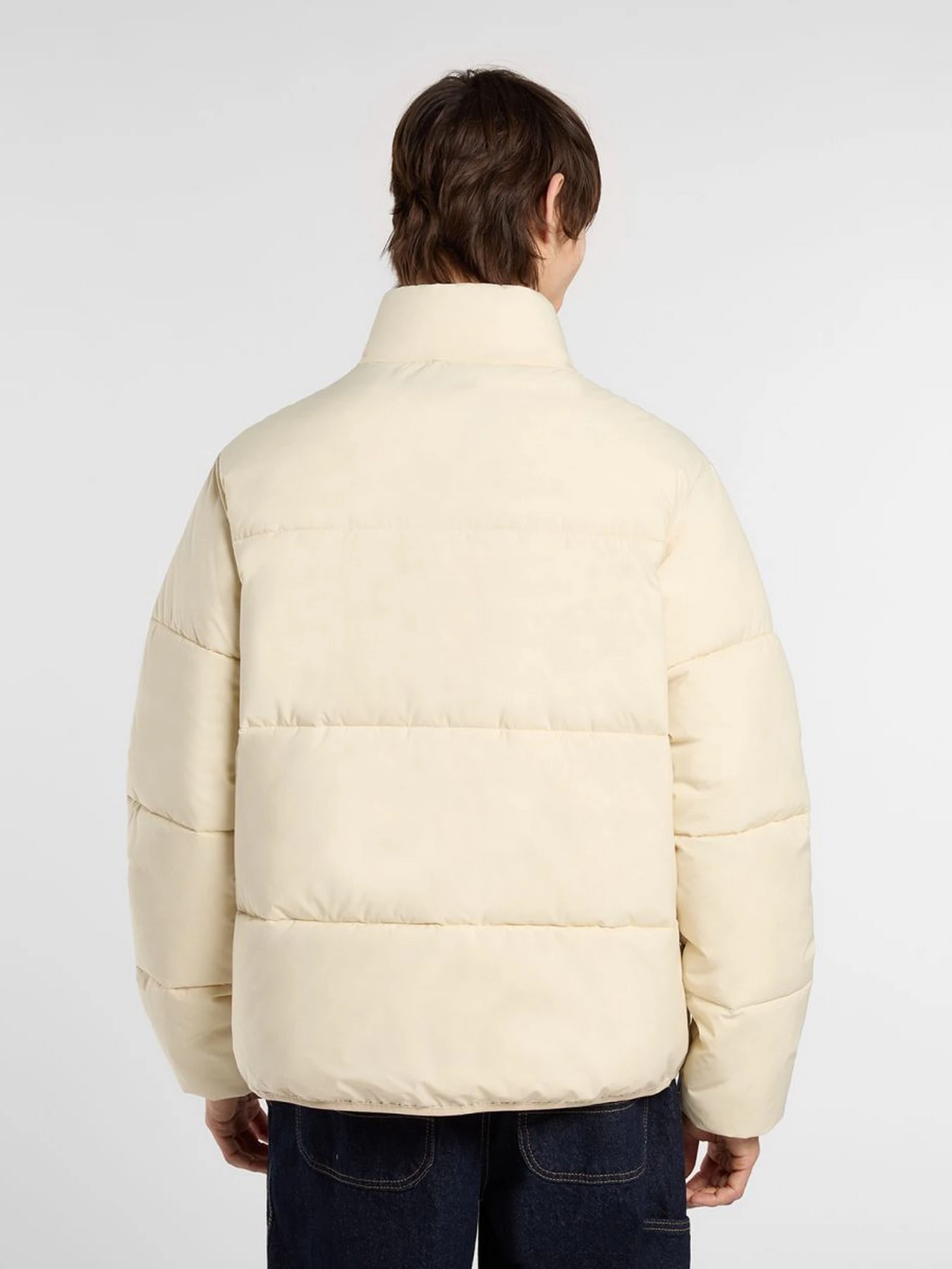 Куртки и дубленки Dickies SUMMERDALE PUFFER модель DK0A87OGL171 Фото