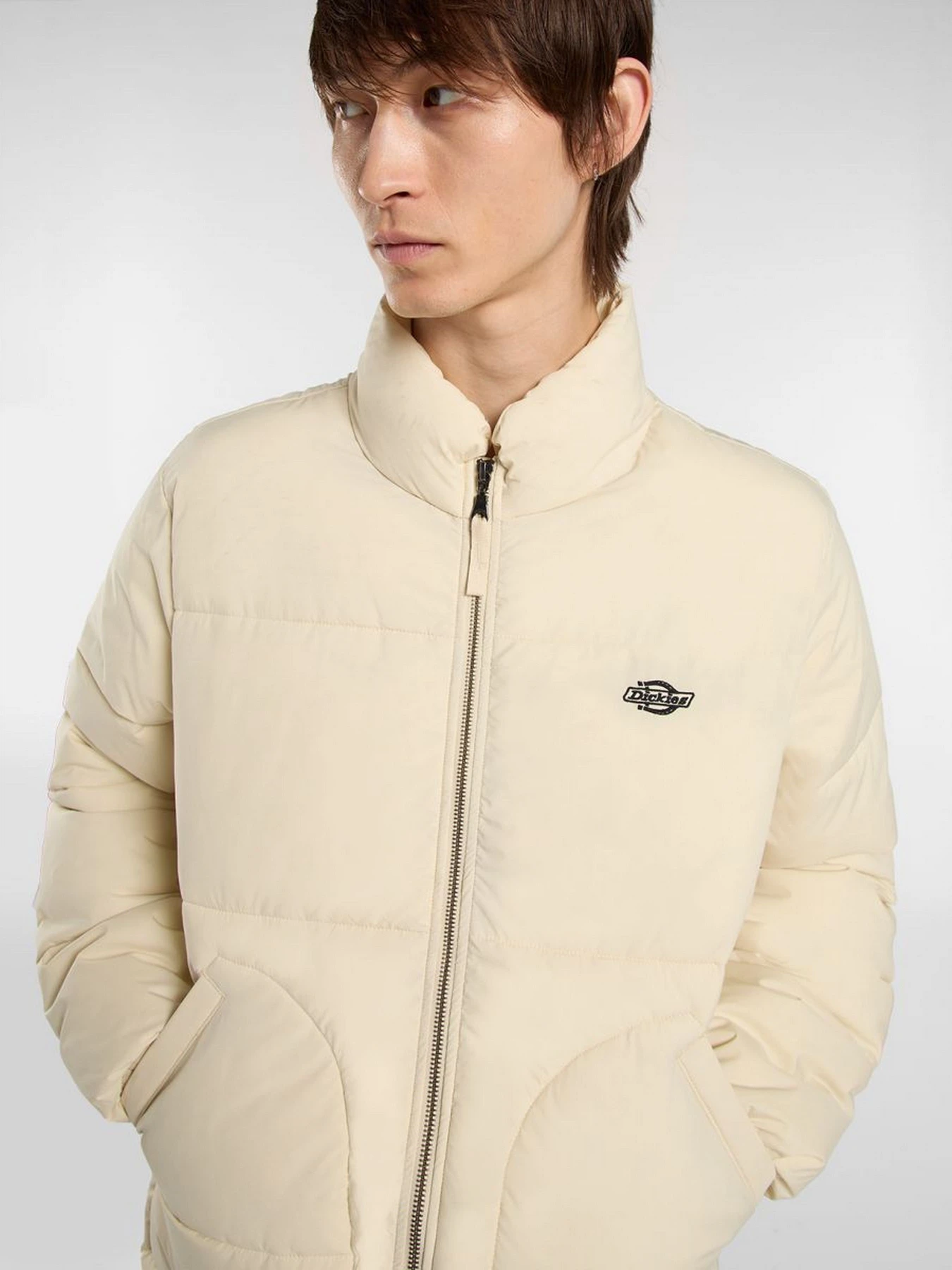Куртки и дубленки Dickies SUMMERDALE PUFFER модель DK0A87OGL171 Фото