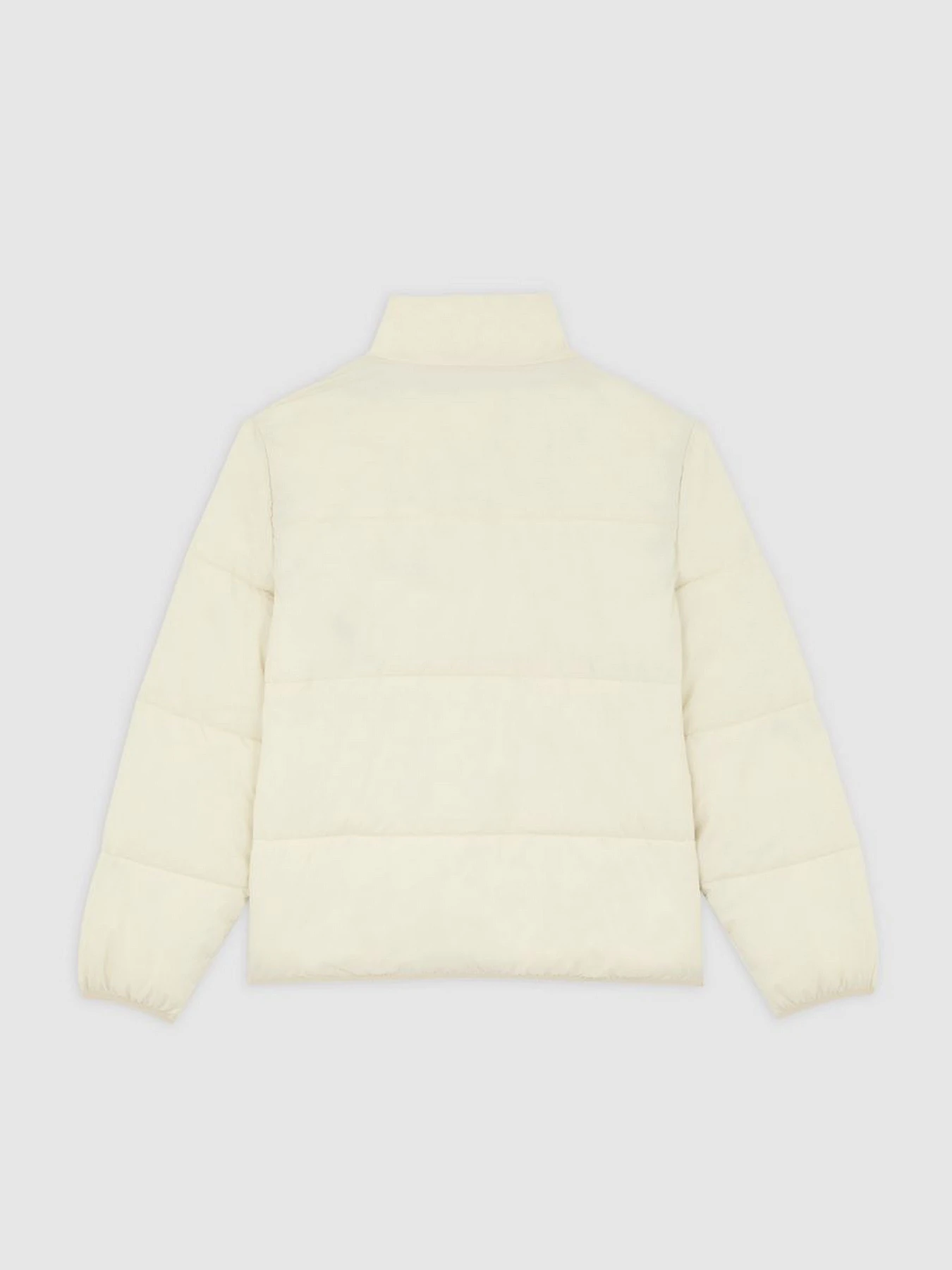 Куртки и дубленки Dickies SUMMERDALE PUFFER модель DK0A87OGL171 Фото