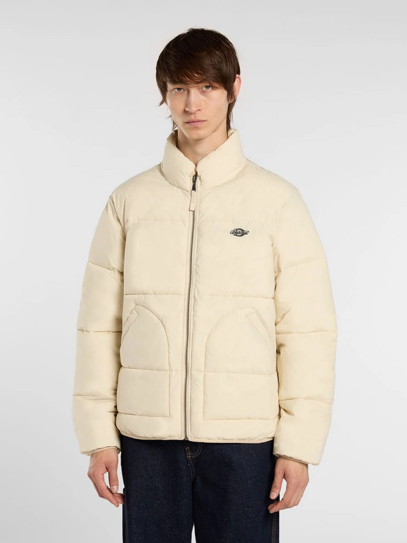 Куртки и дубленки Dickies SUMMERDALE PUFFER модель DK0A87OGL171 Фото