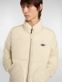 Куртки и дубленки Dickies SUMMERDALE PUFFER модель DK0A87OGL171 Фото
