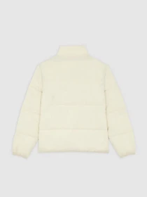 Куртки и дубленки Dickies SUMMERDALE PUFFER модель DK0A87OGL171 Фото