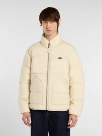 Куртки та дублянки Dickies SUMMERDALE PUFFER модель DK0A87OGL171 Фото