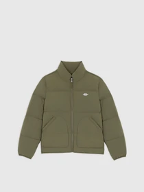 Куртки и дубленки Dickies Summerdale Puffer модель DK0A87OGMGR1 Фото
