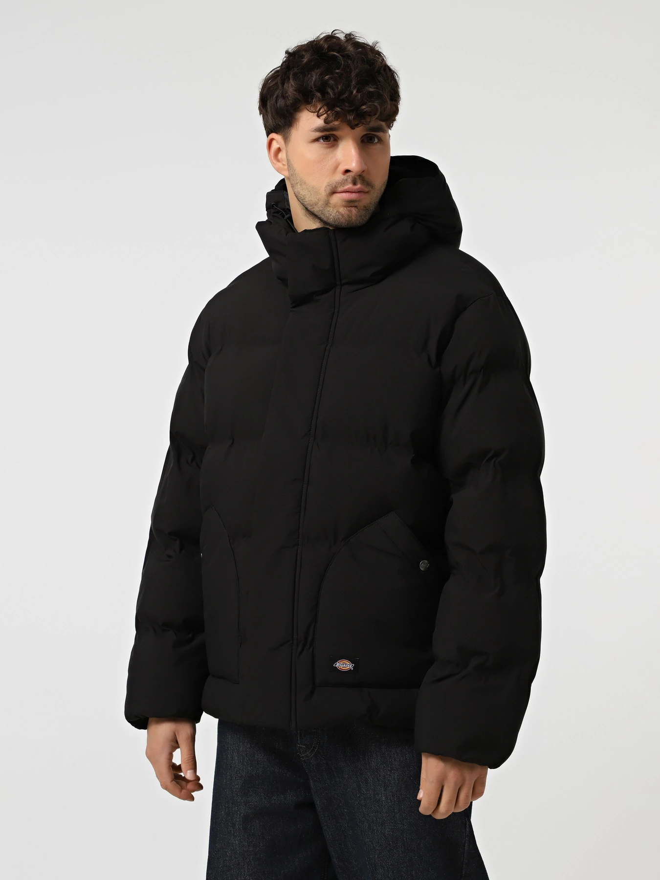 Куртки и дубленки Dickies EAGLEVILLE HOODED PUFFER модель DK0A87OHBLK1 Куртки и дубленки Dickies EAGLEVILLE HOODED PUFFER модель DK0A87OHBLK1 Фото