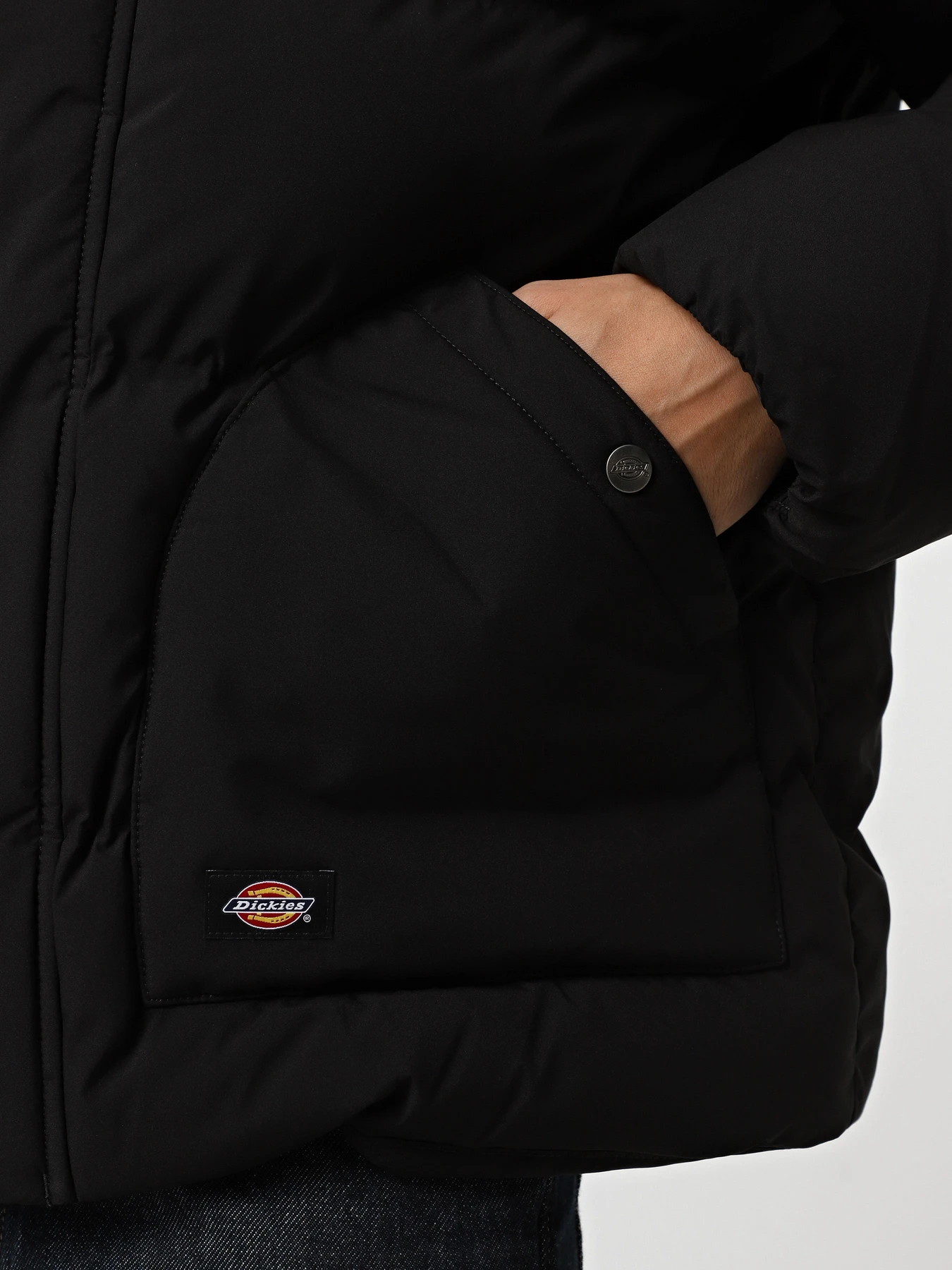 Куртки и дубленки Dickies EAGLEVILLE HOODED PUFFER модель DK0A87OHBLK1 Куртки и дубленки Dickies EAGLEVILLE HOODED PUFFER модель DK0A87OHBLK1 Фото
