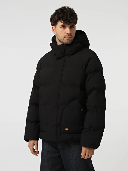 Куртки та дублянки Dickies EAGLEVILLE HOODED PUFFER модель DK0A87OHBLK1 Фото