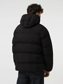 Куртки и дубленки Dickies EAGLEVILLE HOODED PUFFER модель DK0A87OHBLK1 Фото