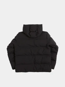 Куртки и дубленки Dickies EAGLEVILLE HOODED PUFFER модель DK0A87OHBLK1 Фото