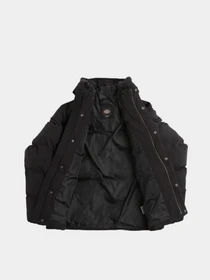 Куртки и дубленки Dickies EAGLEVILLE HOODED PUFFER модель DK0A87OHBLK1 Фото