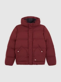 Куртки и дубленки Dickies модель DK0A87OHL161 Фото