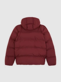 Куртки и дубленки Dickies модель DK0A87OHL161 Фото