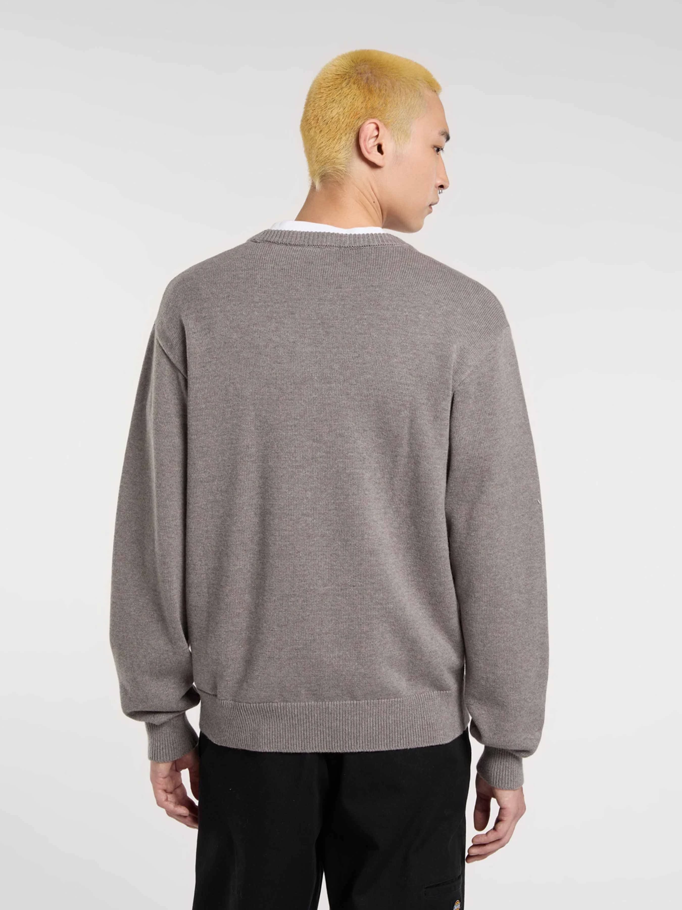 Светри та кардигани Dickies SUMMERDALE SWEATER модель DK0A87OPK631 Светри та кардигани Dickies SUMMERDALE SWEATER модель DK0A87OPK631 Фото